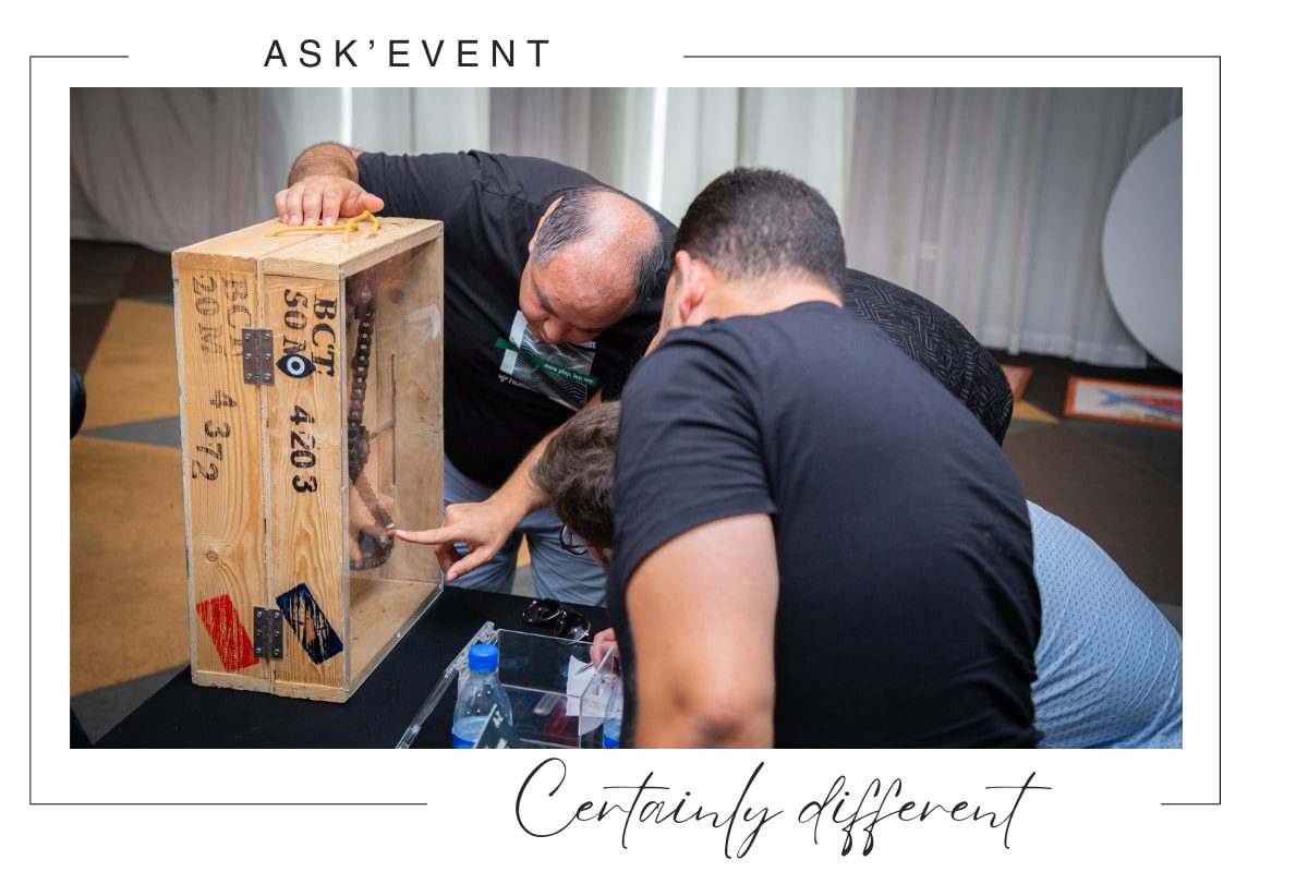 Activités de teambuilding et cohésion d'équipe